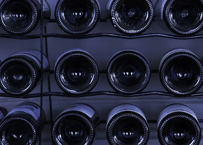 Hotel De La Banniere De France